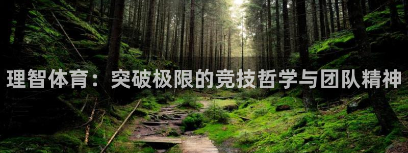 MK体育官网下载招商电话号码查询:理智体育:突破极限的竞技哲