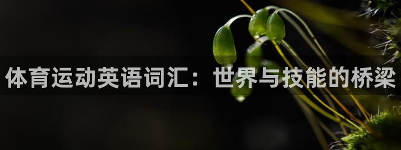 MK体育官方正版app娱乐是那个系列的台子:体育运动英语词汇